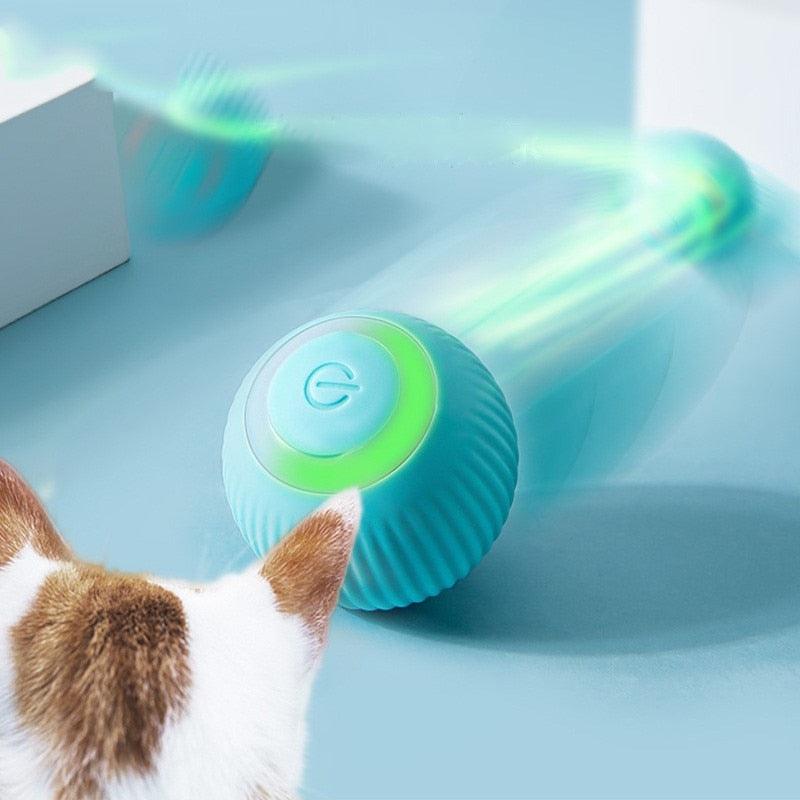 The Benefits of Toys for Cats | Alfa Pets Store – Alfa Pet Store.