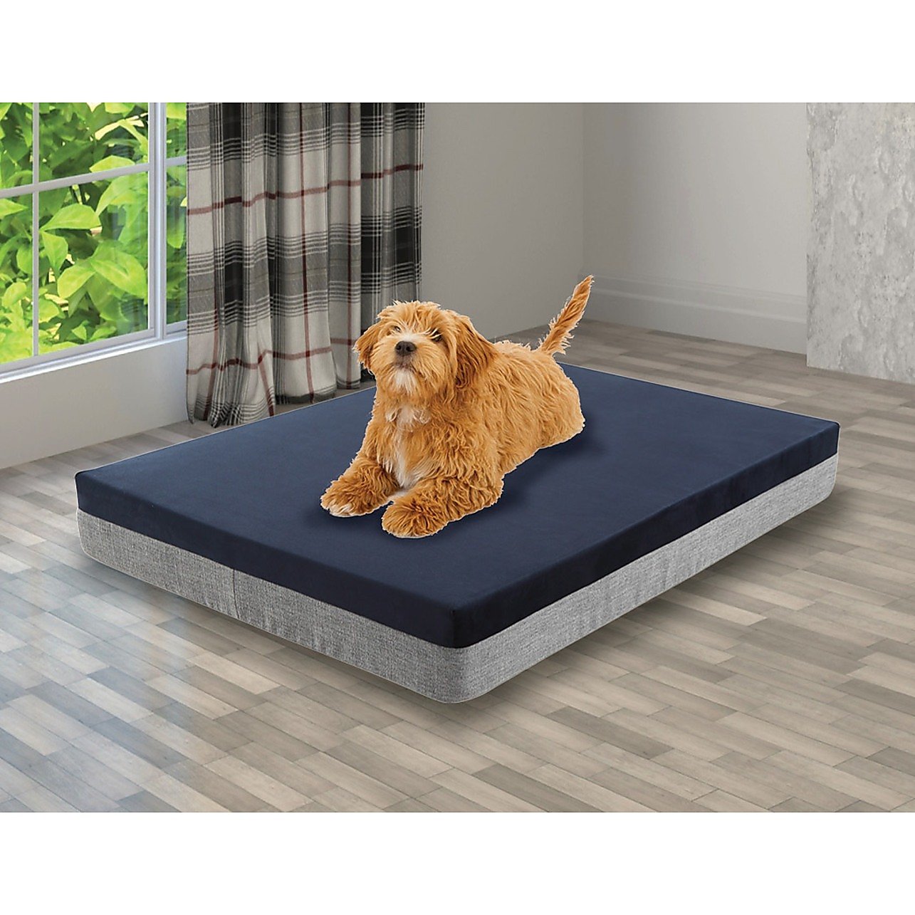 Large Orthopedic Dog Bed