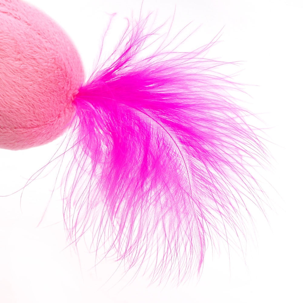 3pcs Feather Toy