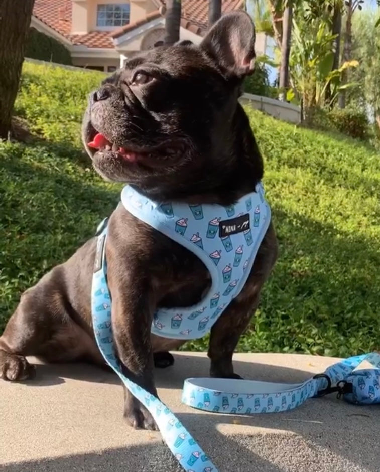 Pupshake Blue Adjustable Harness