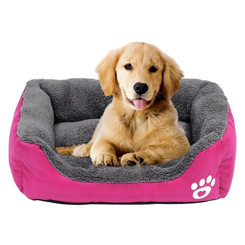 Paw Print Bed