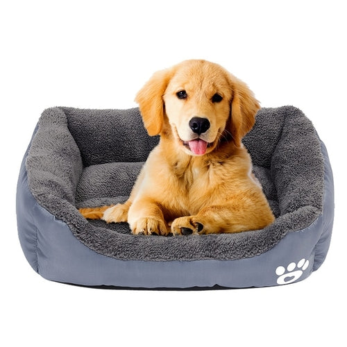 Paw Print Bed