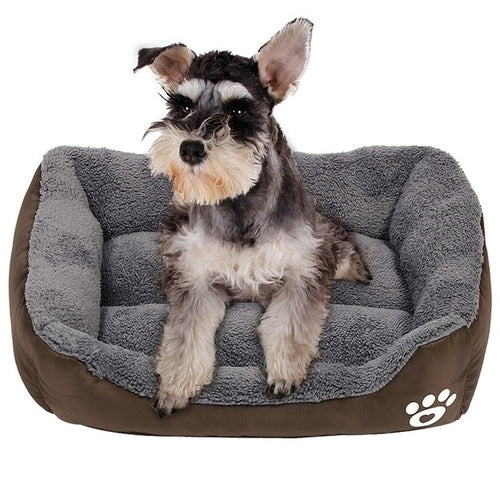 Paw Print Bed