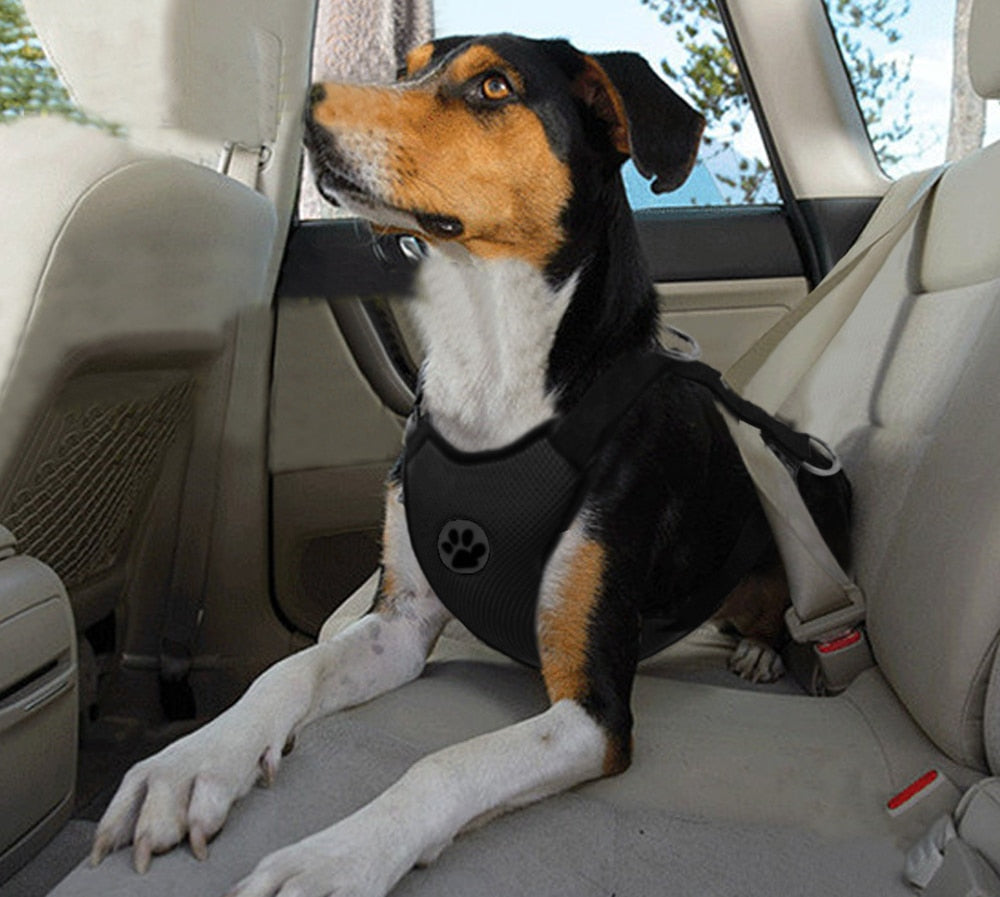 Mesh Dog Car Seat Harness