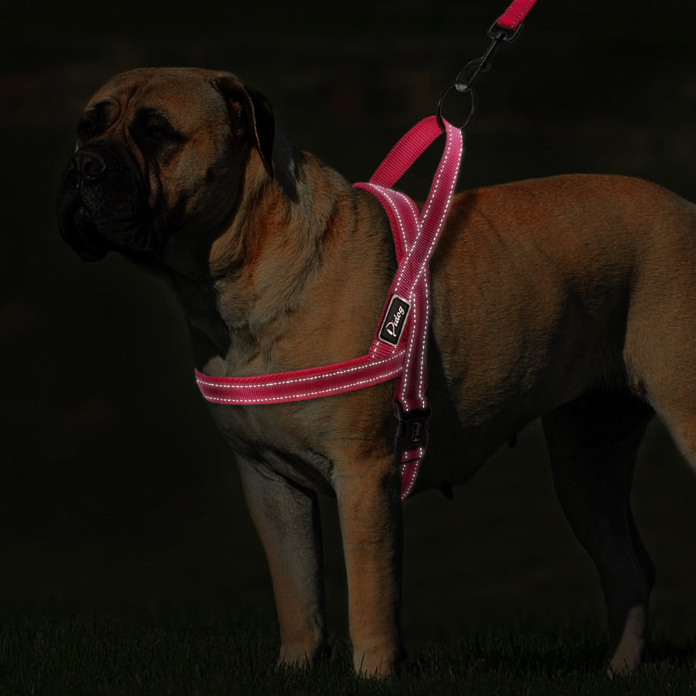 No Pull Reflective Dog Harness & Leash Set