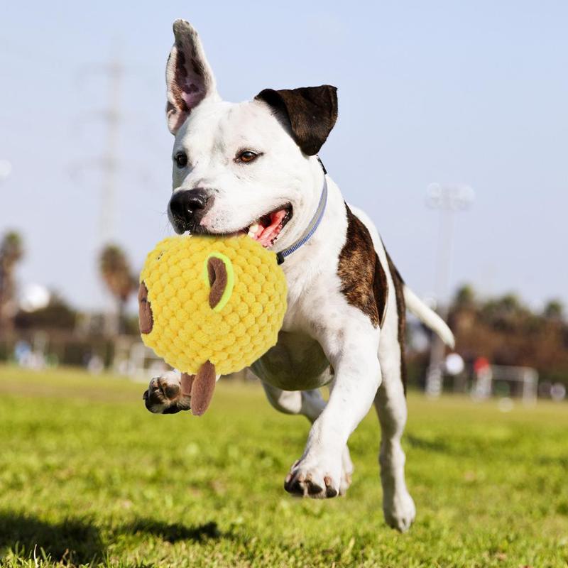 Pet Dog Plush TPR Ball Toy Cotton Rope Animal