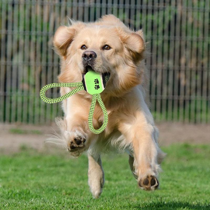 Pet Puppy Dog Cotton Rope Ball Outdoor Training