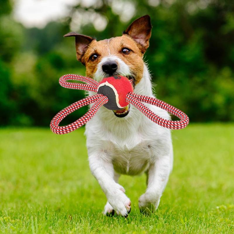 Pet Puppy Dog Cotton Rope Ball Outdoor Training