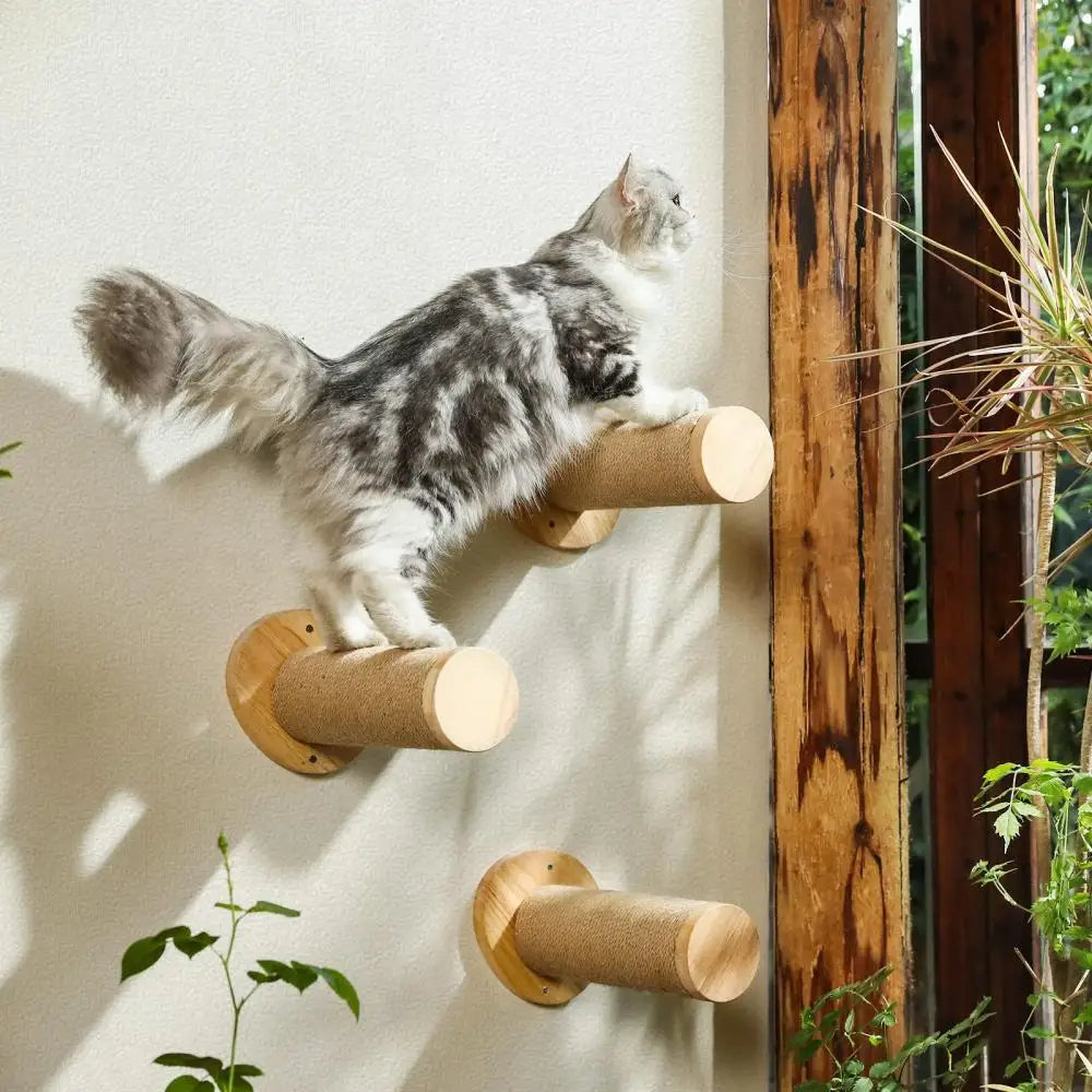 Cat Wall Climb Accessories