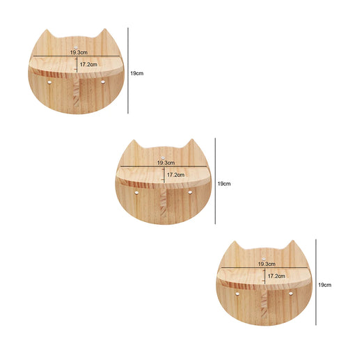 Cat Wall Climb Accessories