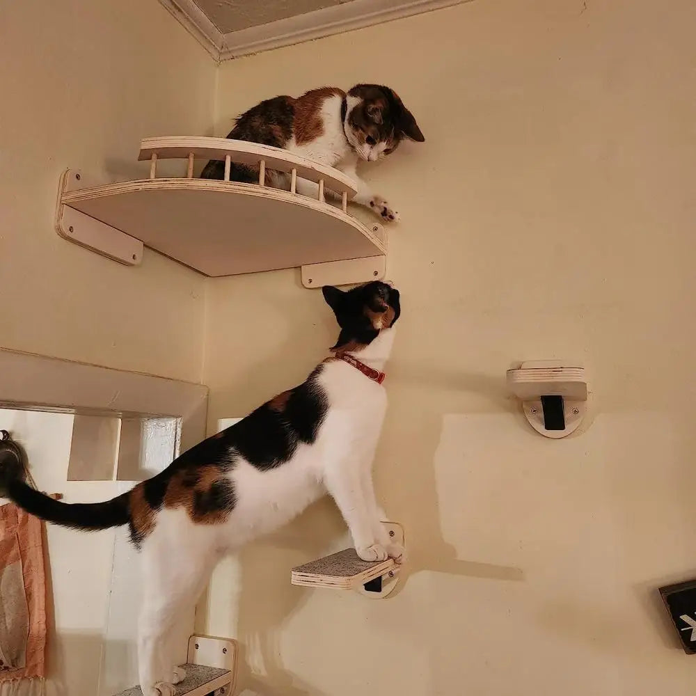 Cat Wall Climb Accessories