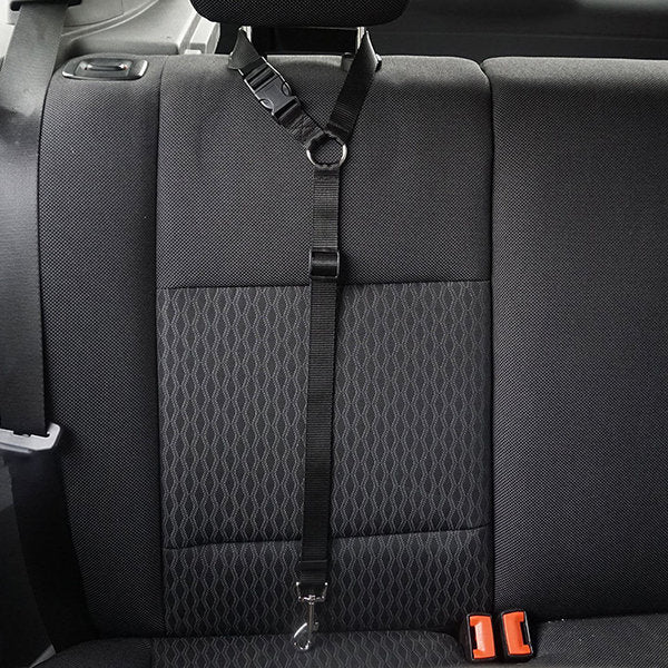 Pet Car Harness