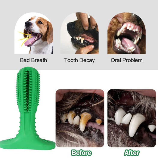 Natural Rubber Bite Resistant Dog Toothbrush Toy