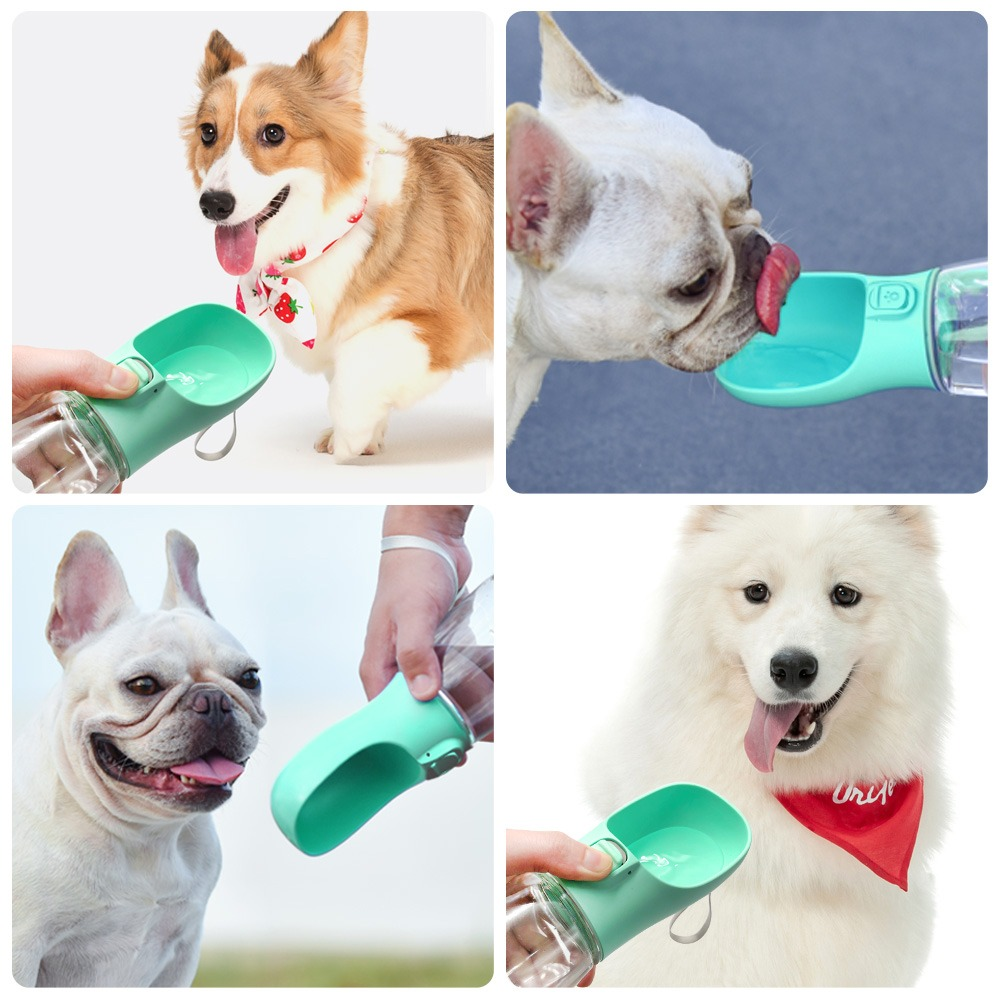 On-The-Go Pet Water Dispenser