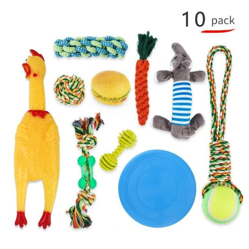 10 PCS Toy Pack