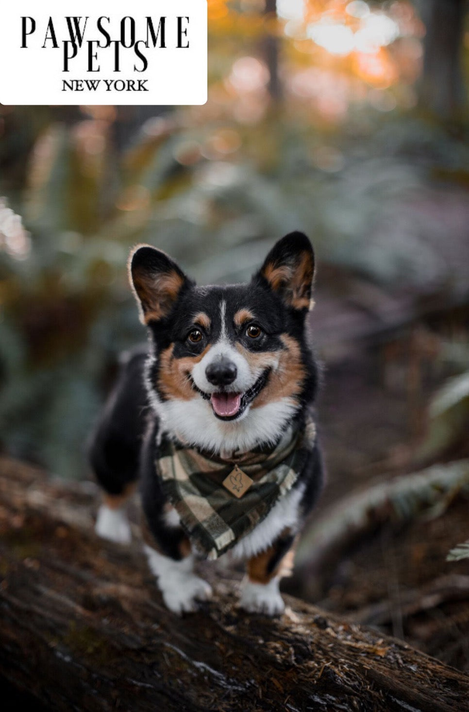 BANDANA - OLIVE GREEN