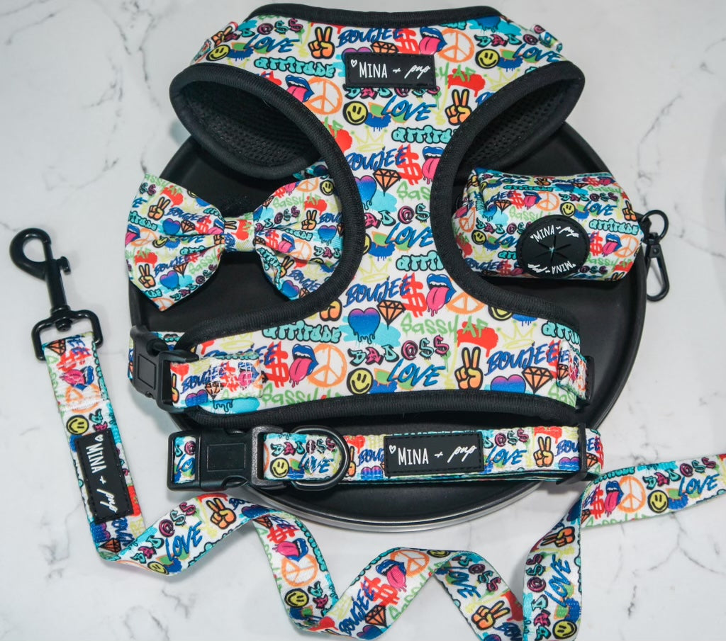 Graffiti Addition Comfort Leash by The Attitude Collection