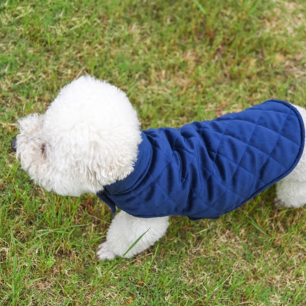 Doggy Warm Vest