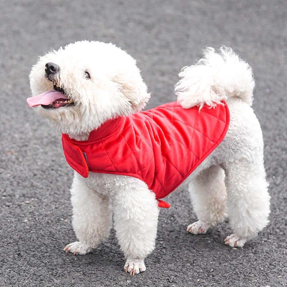 Doggy Warm Vest