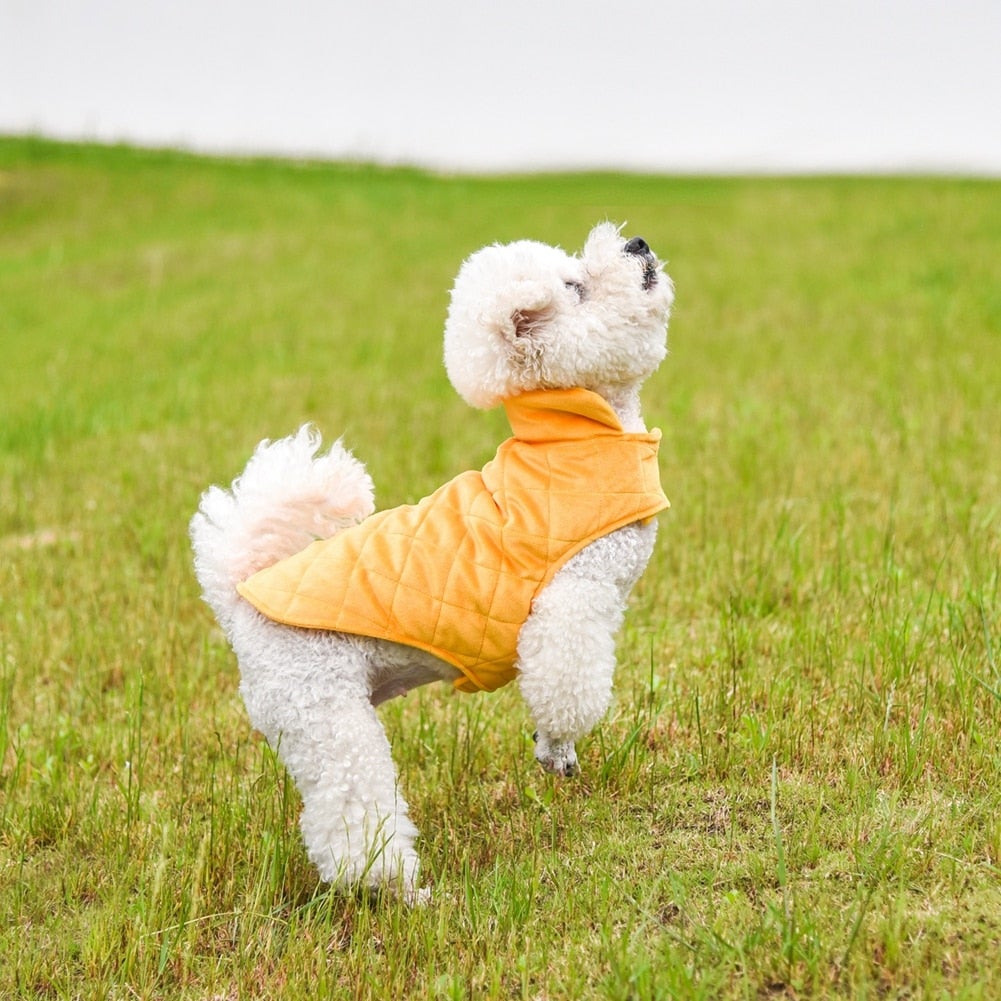 Doggy Warm Vest